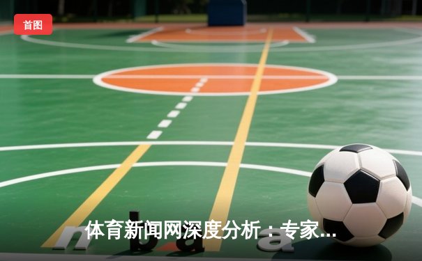 体育新闻网深度分析：专家解读